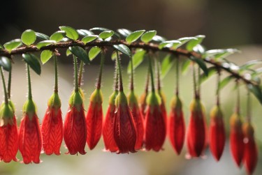 肇庆鼎湖区3私人快速借钱网，轻松解决资金难题