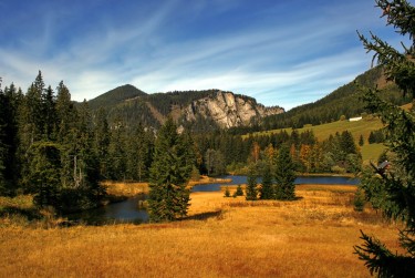 肇庆鼎湖区3民间私贷攻略：揭秘低成本借贷的秘密