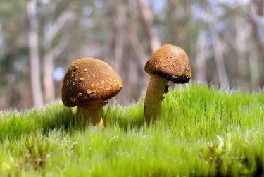 肇庆鼎湖区3私人老板放款：轻松融资的秘密通道